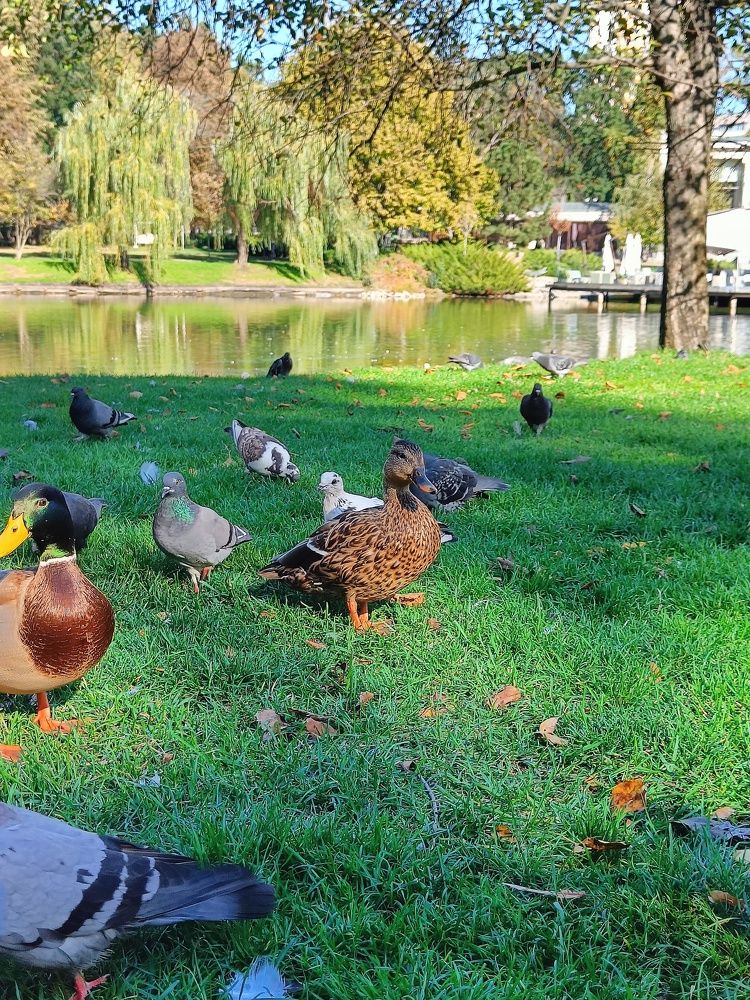 Photograph by Карина Слабкая