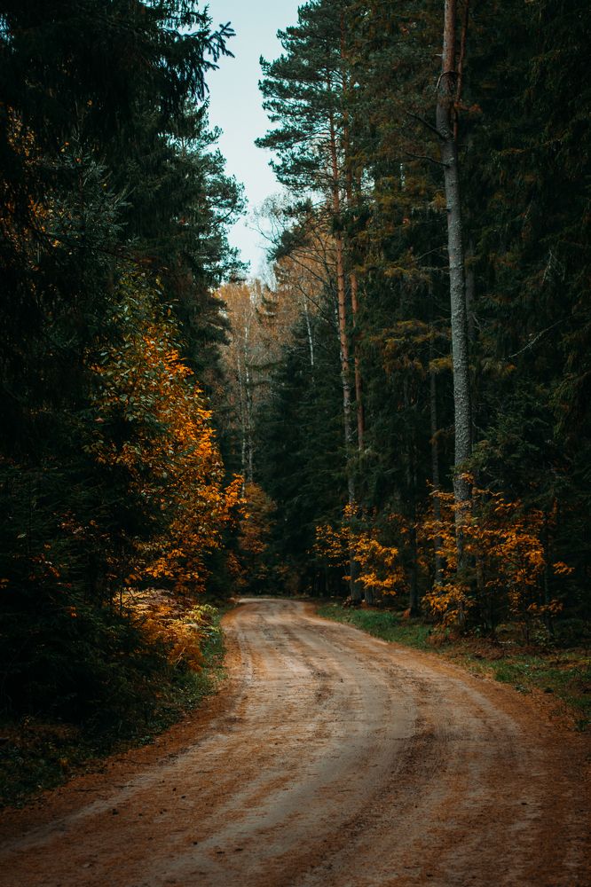 Photograph by Юлия Фомина