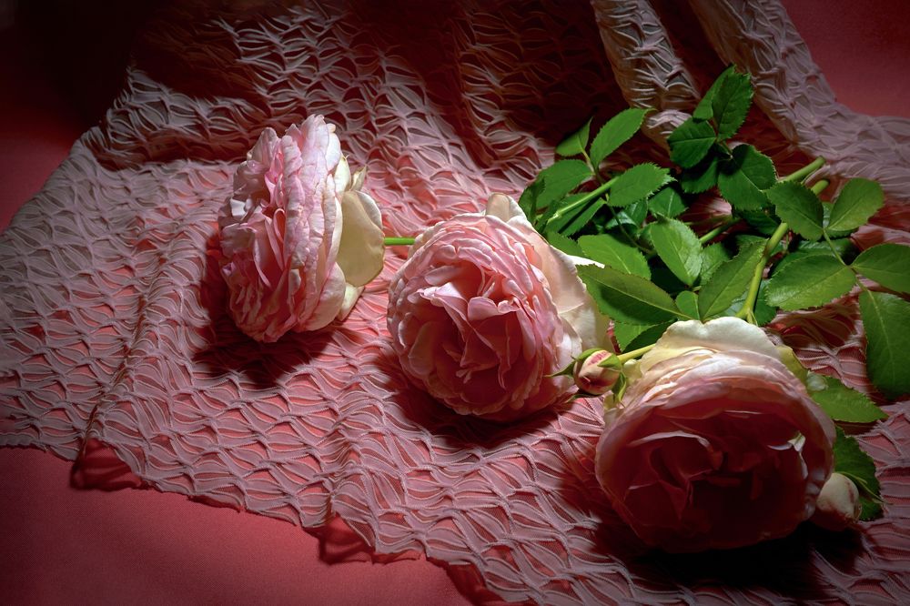 Photograph by Tatiana Glazkova