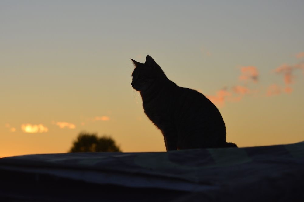 Photograph by Галина Катанова