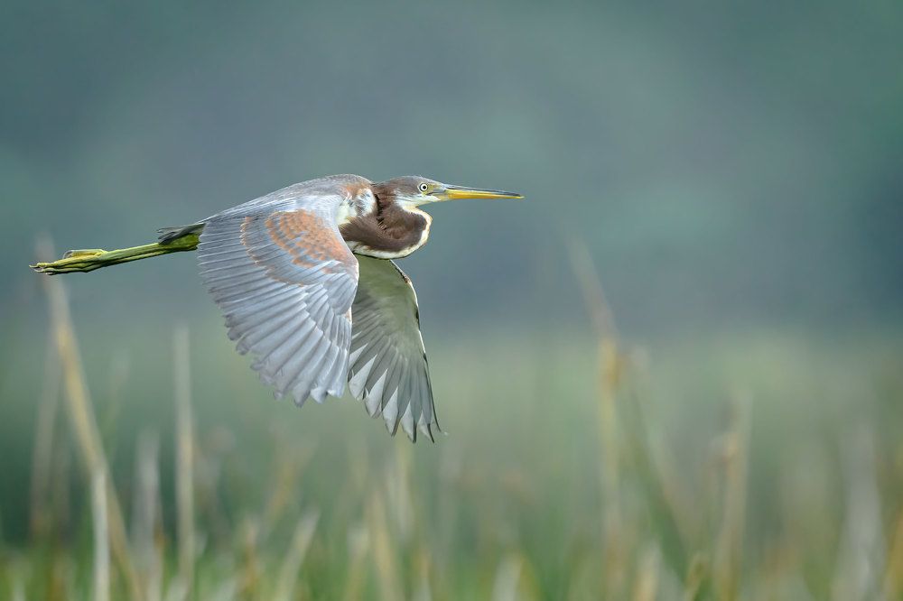 Фотография автора Erik Nelson