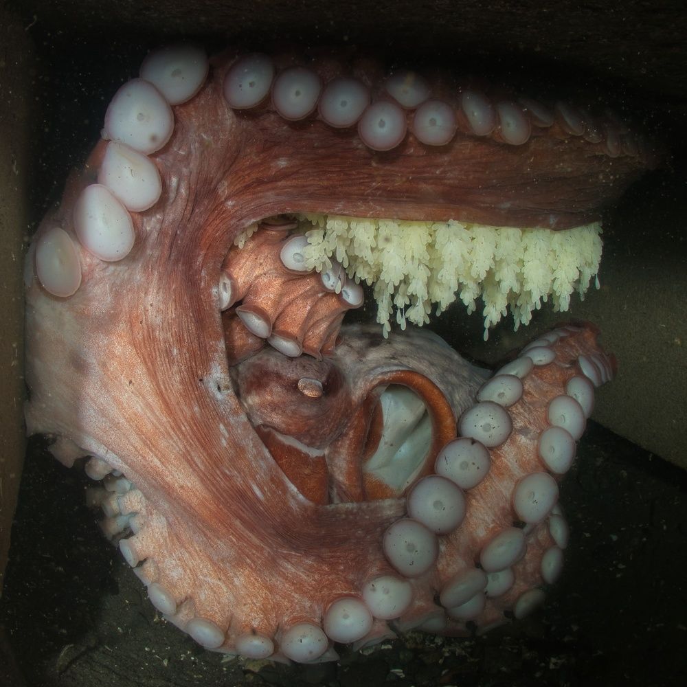 Photograph by Shuo-Wei Chang