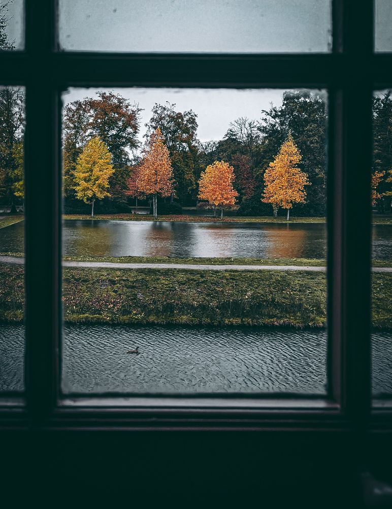 Фотография автора Ксения Шляйхер