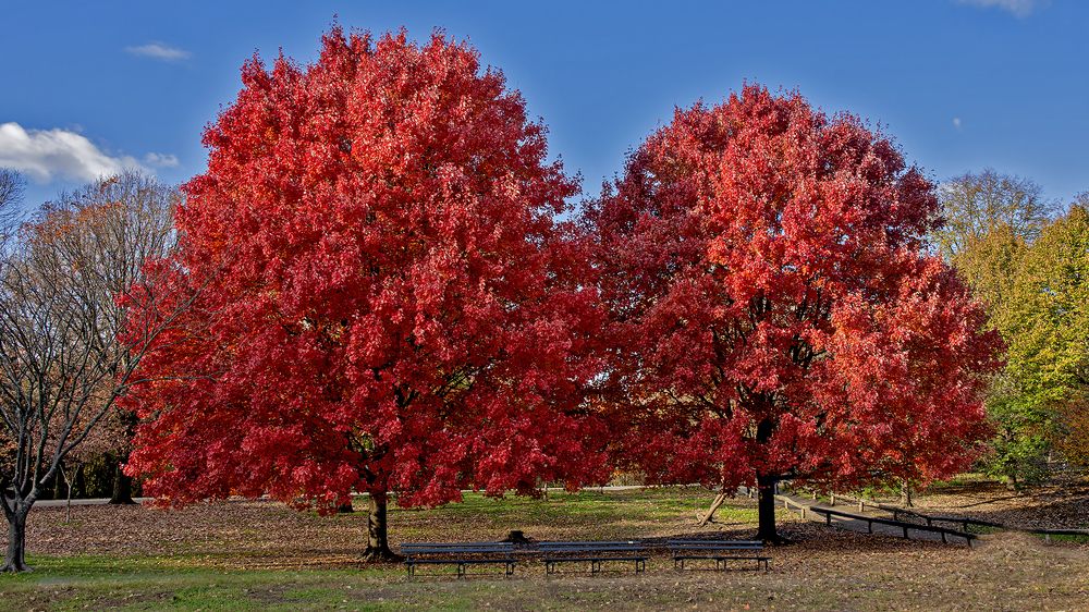 Photograph by Гришанов Пётр