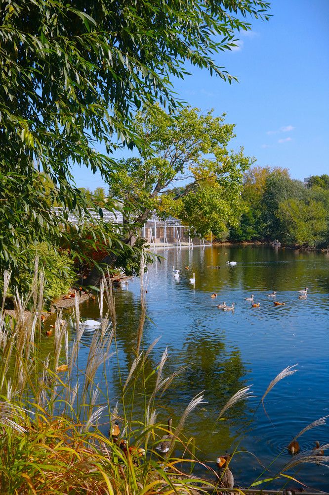 Photograph by Гагик Саркисян