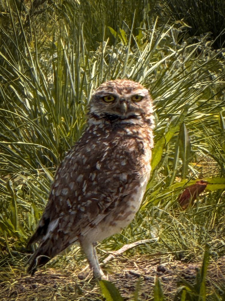 Photograph by Maria Julieta ZURZOLO