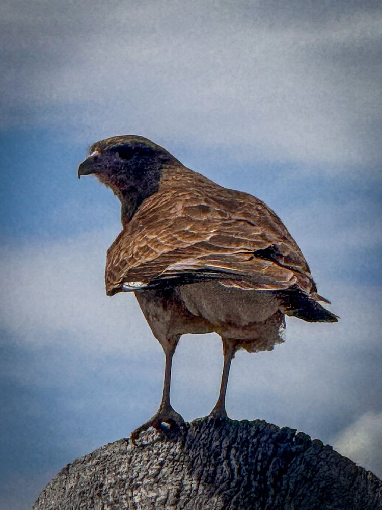 Photograph by Maria Julieta ZURZOLO