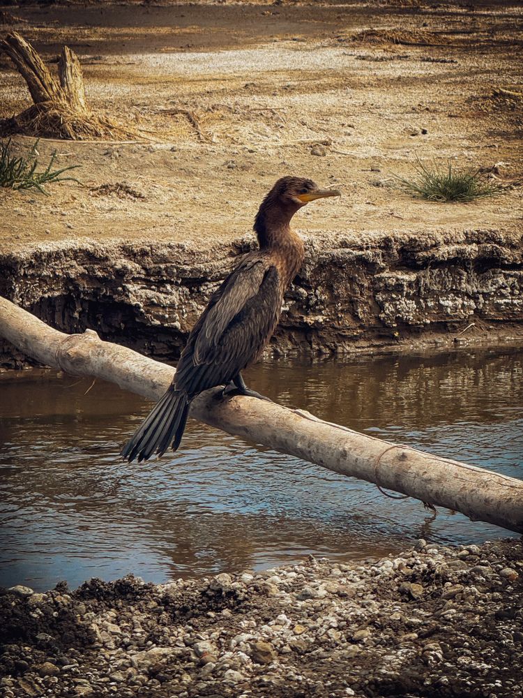 Photograph by Maria Julieta ZURZOLO