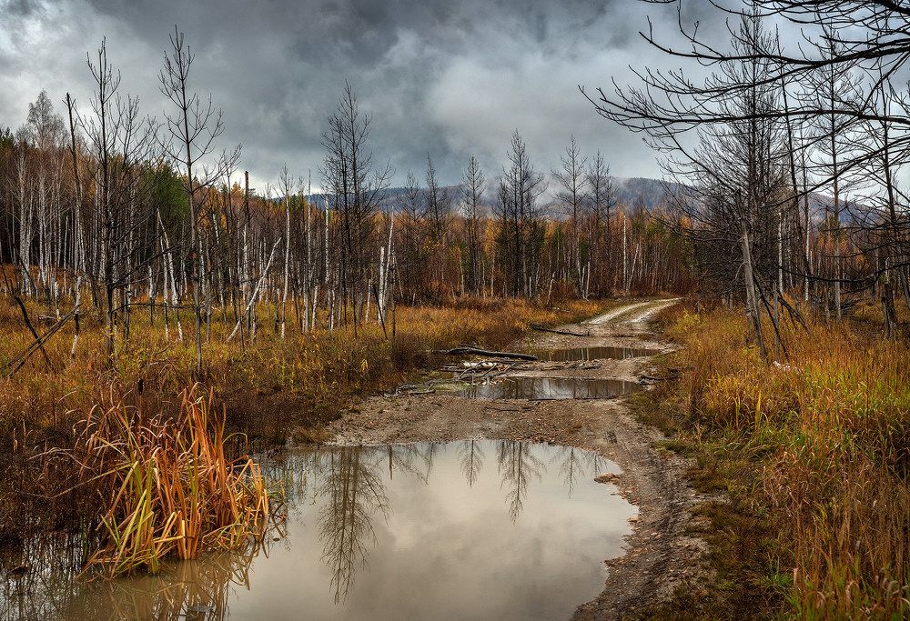 Осенняя дорога