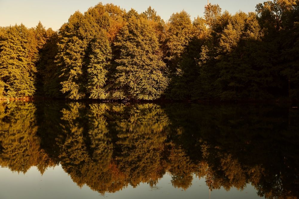 Photograph by Евгения Казакова