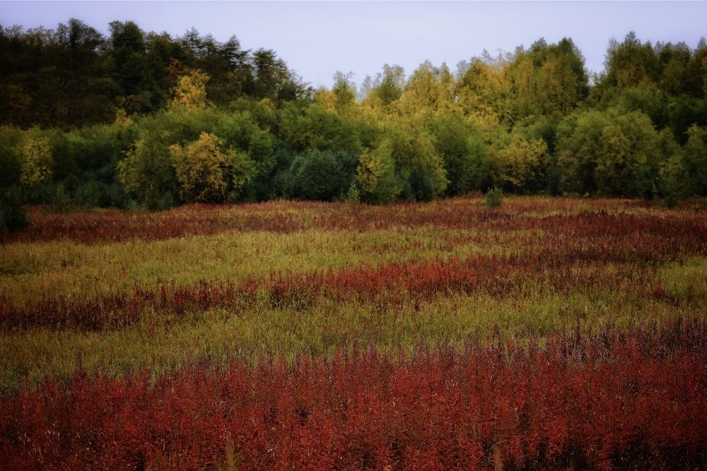 Photograph by Евгения Казакова