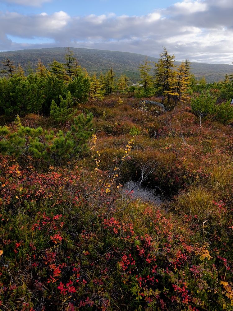Photograph by Евгения Казакова