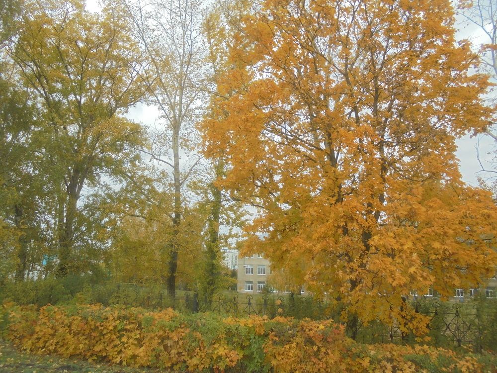 Photograph by Лилия Исхакова