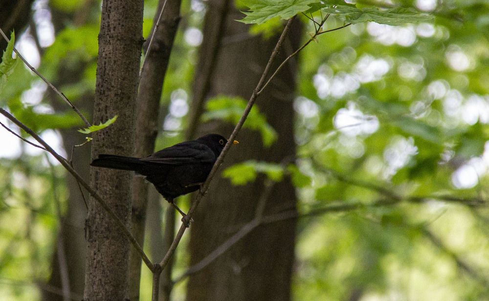 Photograph by Дмитрий Селицкий