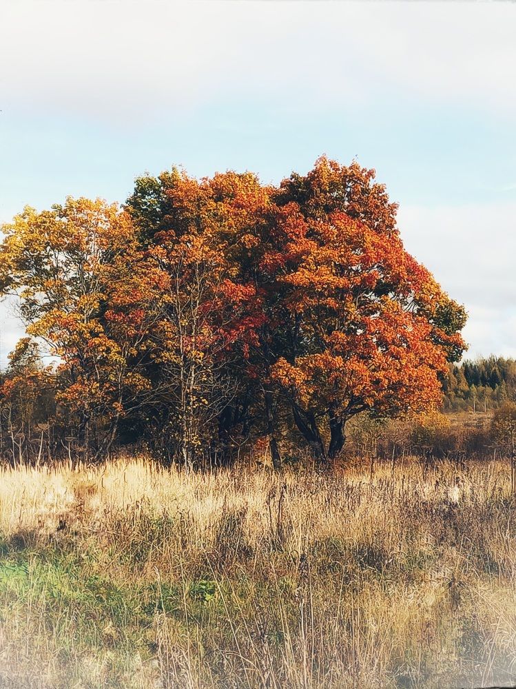 Photograph by Зоя Кулько