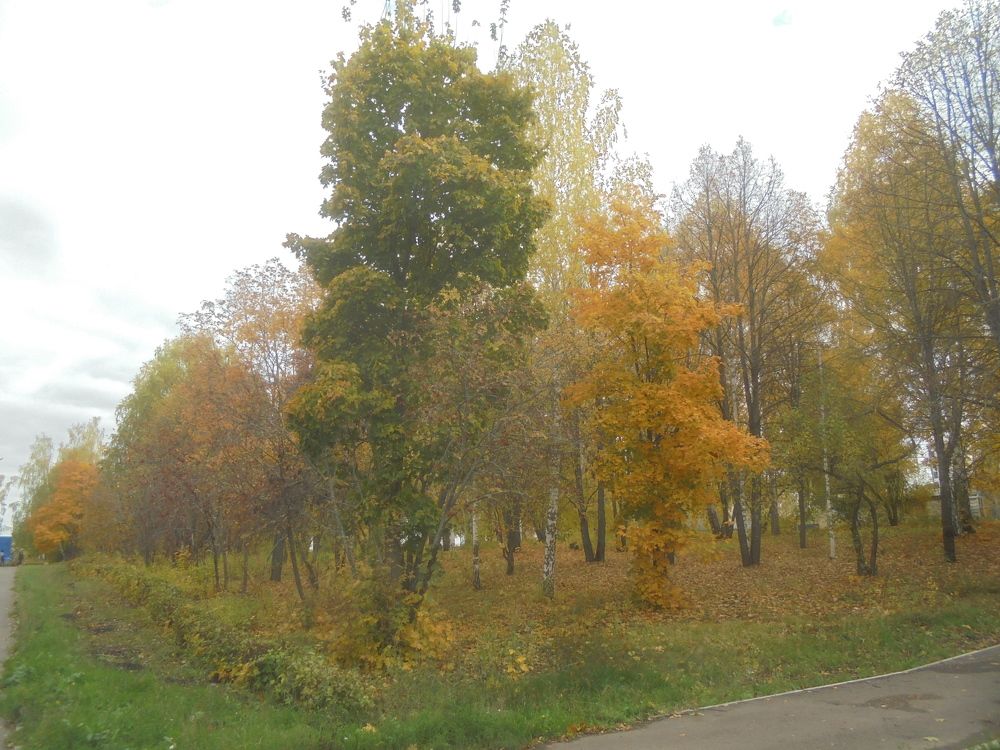 Photograph by Лилия Исхакова