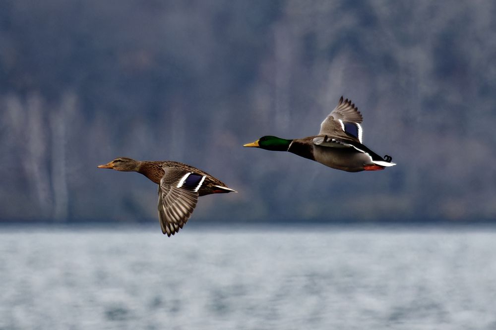 Photograph by Андрей Иванов