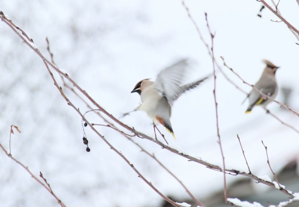 Photograph by Эдуард Герасимов
