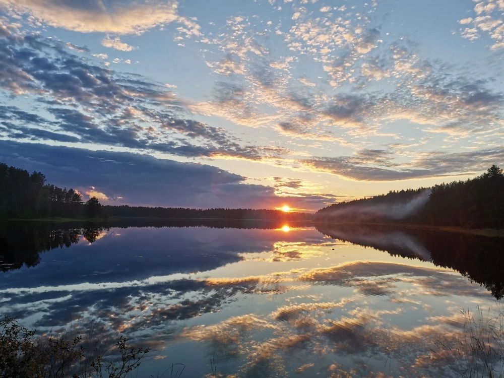 Водяная лилия
