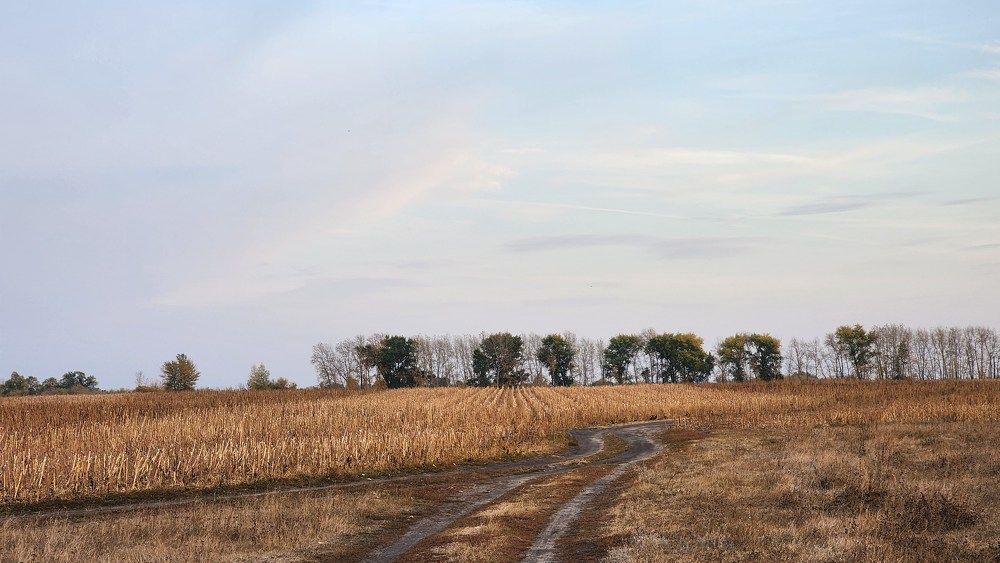 Фотография автора Александр Ахоньков