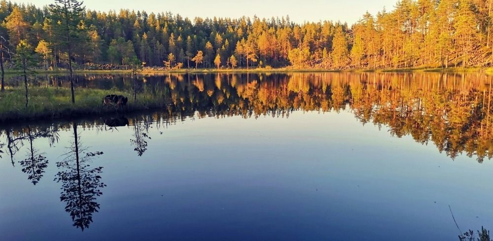 Photograph by Елизавета Мокосина