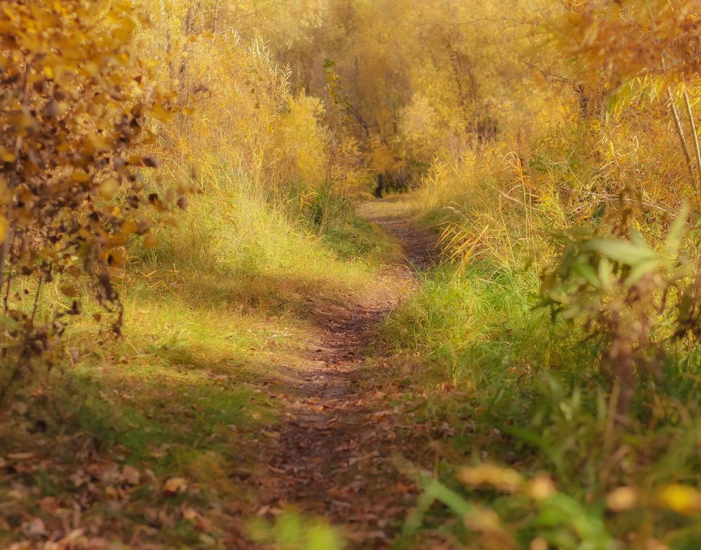 Photograph by Maxim Petrovsky