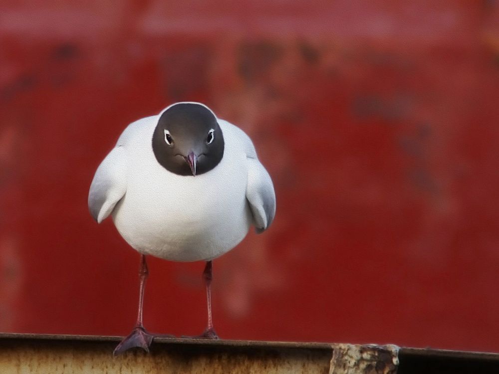 Камеру убери