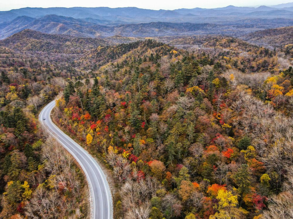 Photograph by Екатерина Лицкан