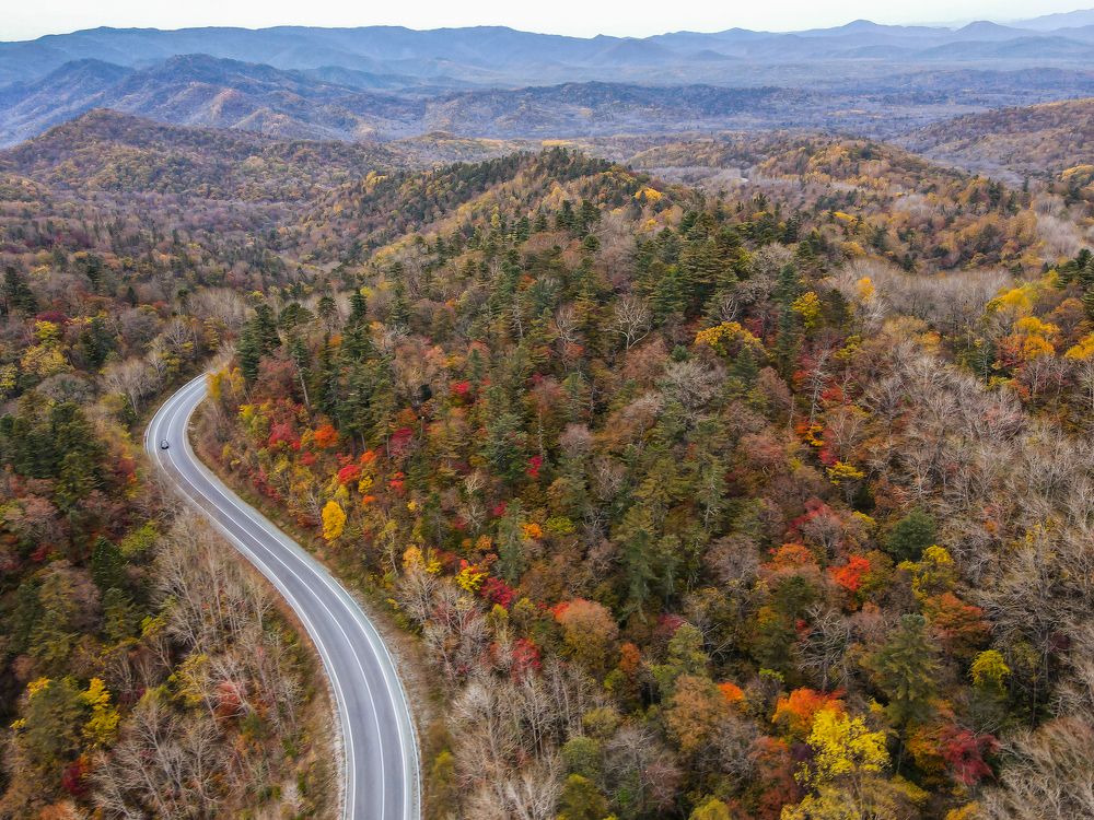 Photograph by Екатерина Лицкан