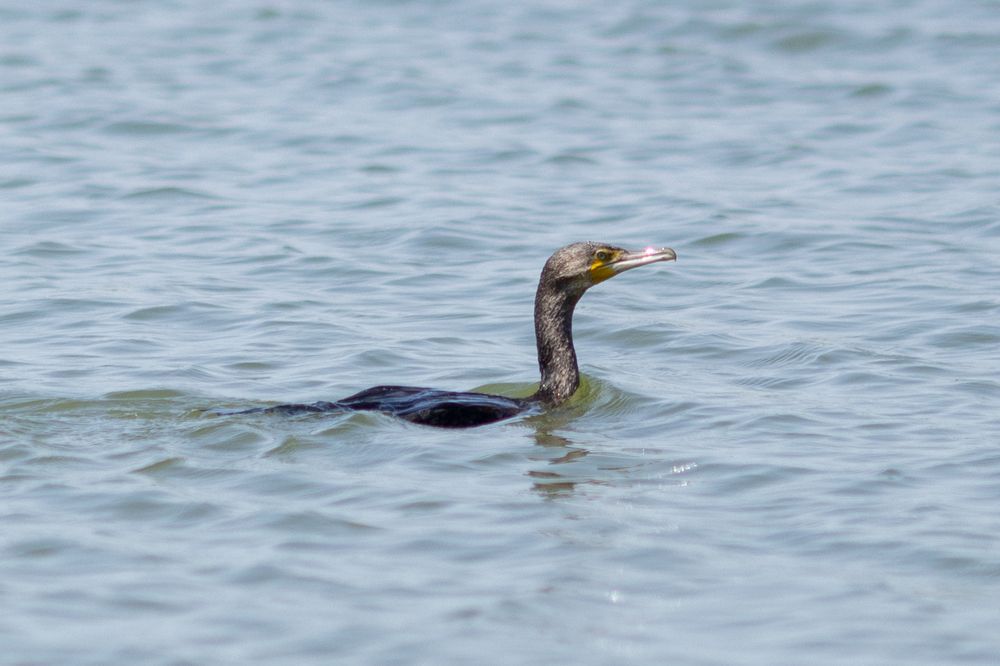 Photograph by Наталья Угрюмова