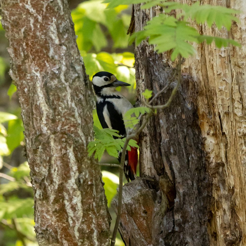 Photograph by Наталья Угрюмова