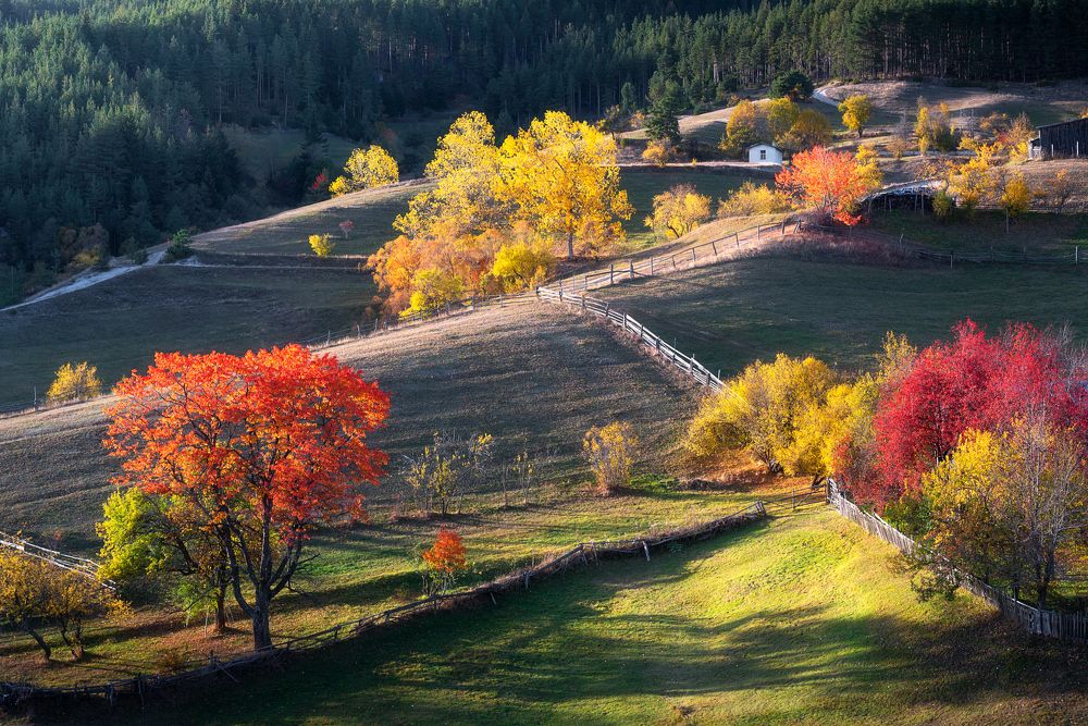 Photograph by Mariyana Atanasova - Lucero