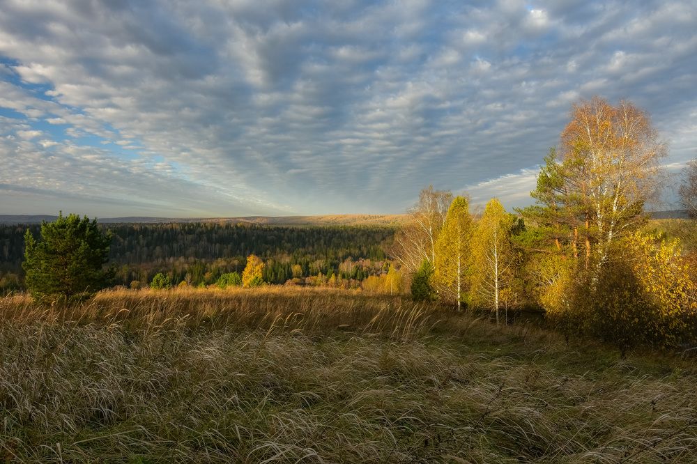 Утро октября