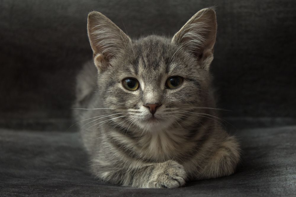 Photograph by Сергей Алексеев