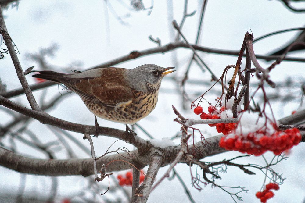 Photograph by Vitaliy Saposhnikov