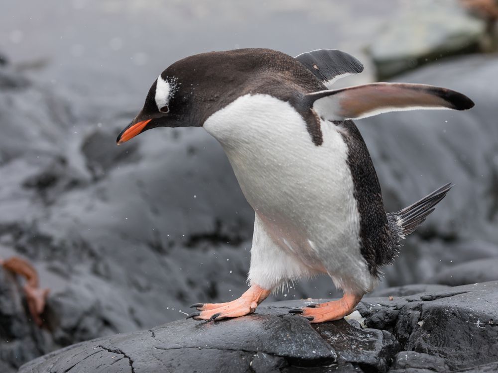 Photograph by Марина Маликова