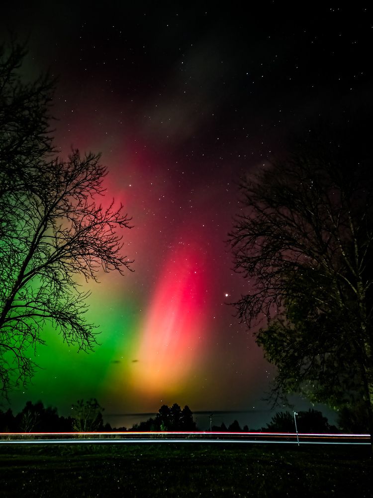 Фотография автора Алиса Исаева