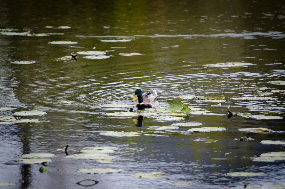 Photograph by Mishel Photographer