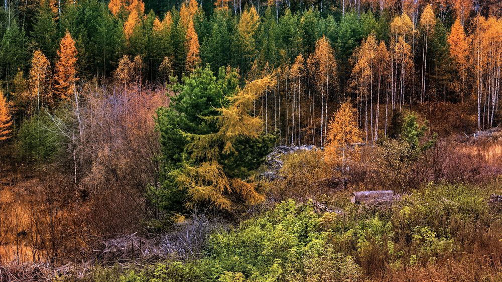 Photograph by Владимир