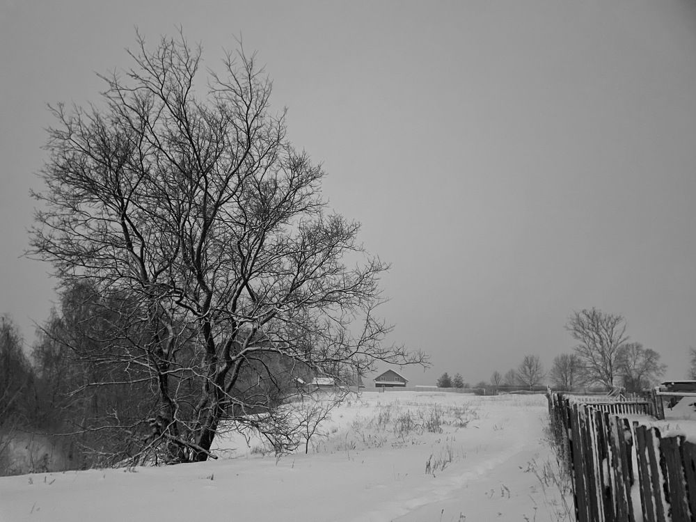 Photograph by Геннадий Глухов