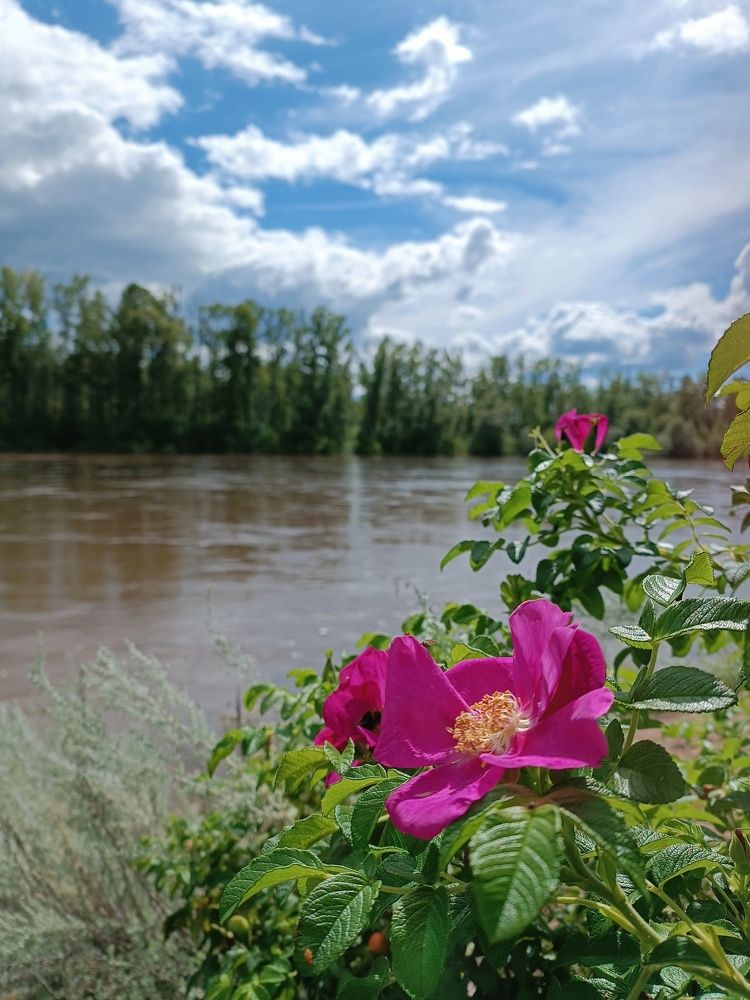 Photograph by Роза