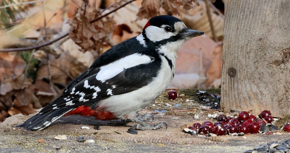Photograph by Евгений Мельниченко