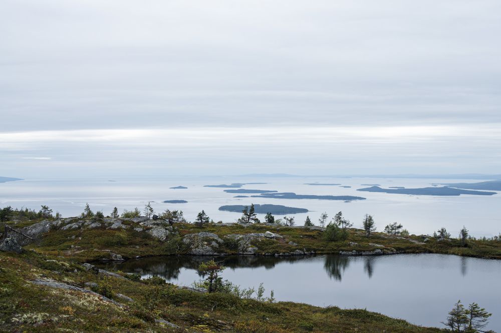 Photograph by Карина Заводчикова