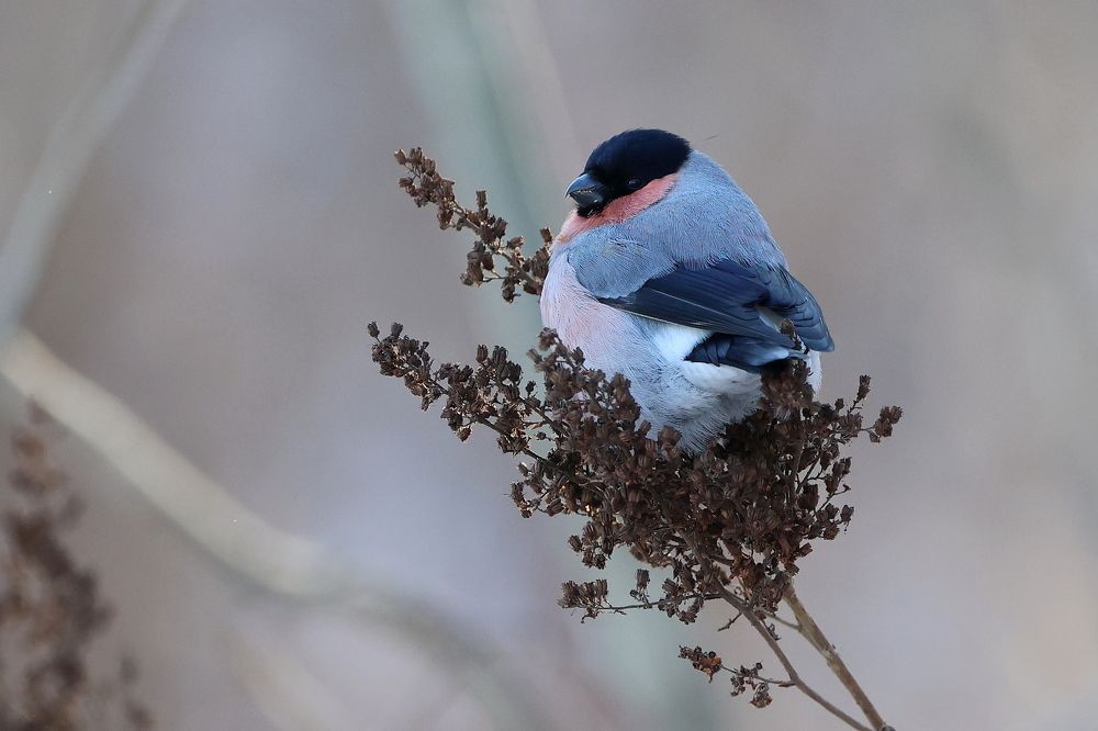 Photograph by Евгений Мельниченко