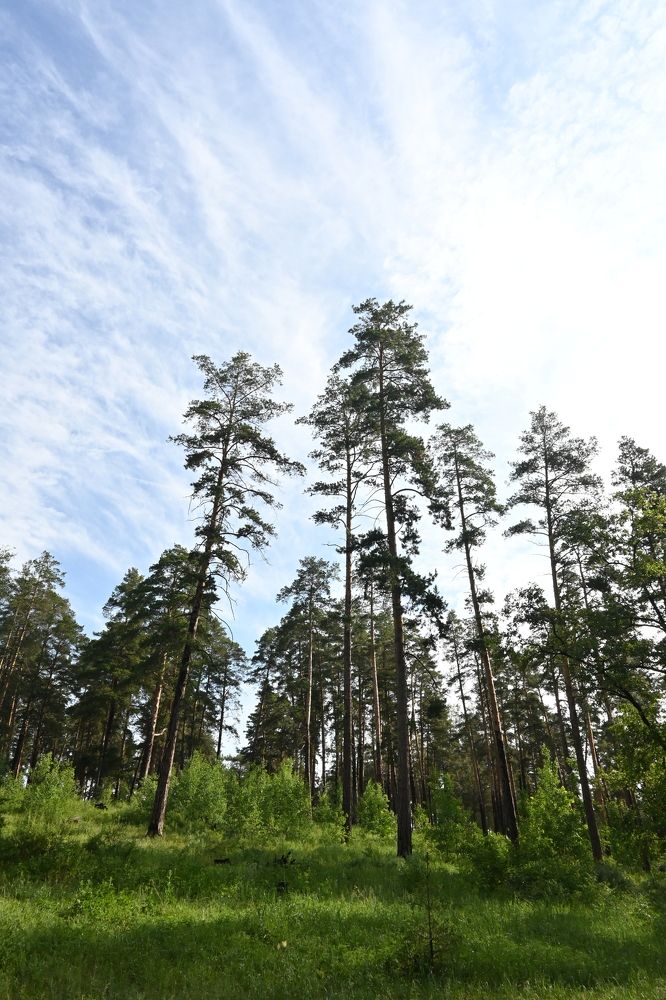 Photograph by Алексей Volg