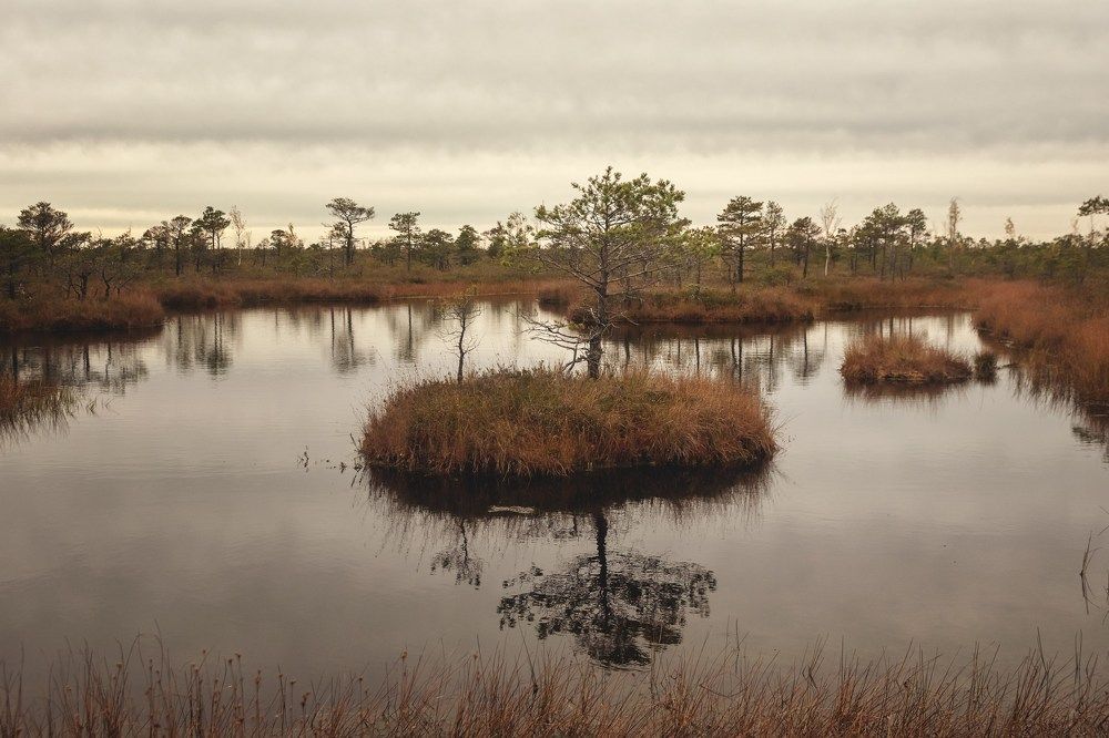 Photograph by Екатерина Кузьмина