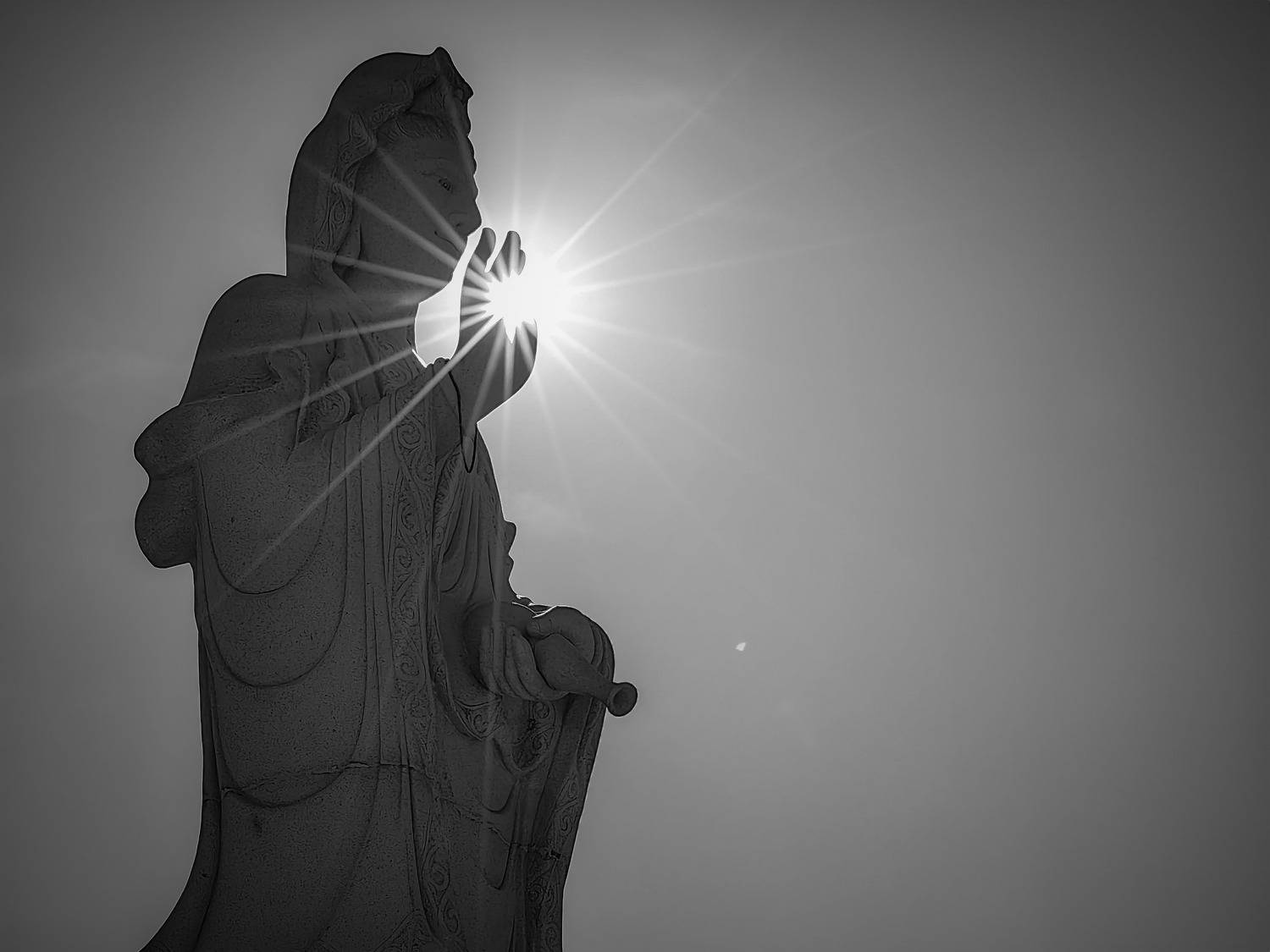 Photo #11152099
