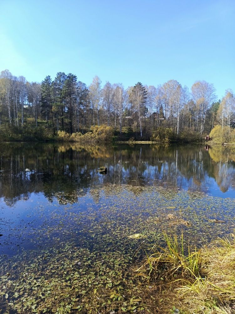 Фотография автора Ольга Петрова