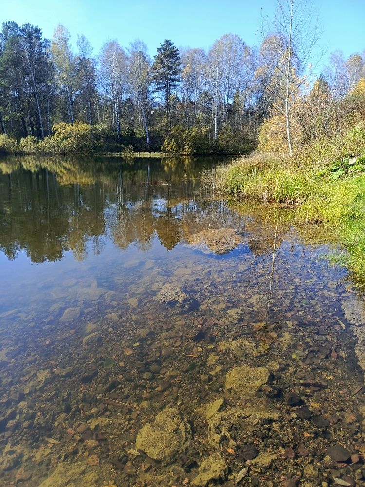 Фотография автора Ольга Петрова