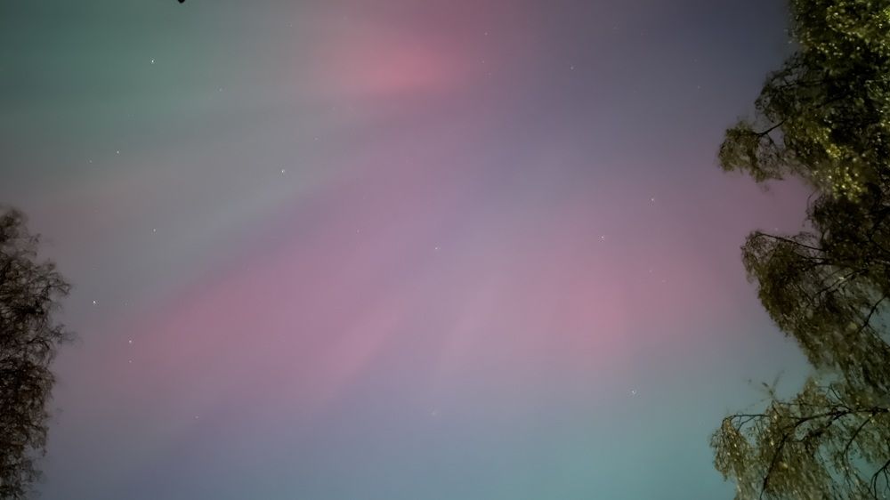Photograph by Полина Ерофеева